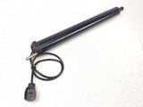Raymarine Q047 ST4000 S1 X5 EV-100 Autopilot 2000 3000 Tiller Pilot Linear Drive Unit  TillerPilot