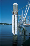 Taylor Made DB3.30 Boat Marine Medium 3' Perimeter Dock and Post Bumper
