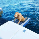 Solstice 33248 Pupplank XL Boat Dock Pool Inflatable Dog Ramp West Marine 33248WM 21291463