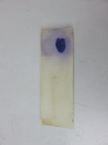 Chris Craft Vintage Marine Boat 2.5" x 7.75"  White Rubber Step Insert Deck Pad