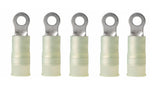 Marine Grade Ring Terminal Electrical Connector 12-10 AWG Wire X #6 Stud Ancor 230221 5 Pack
